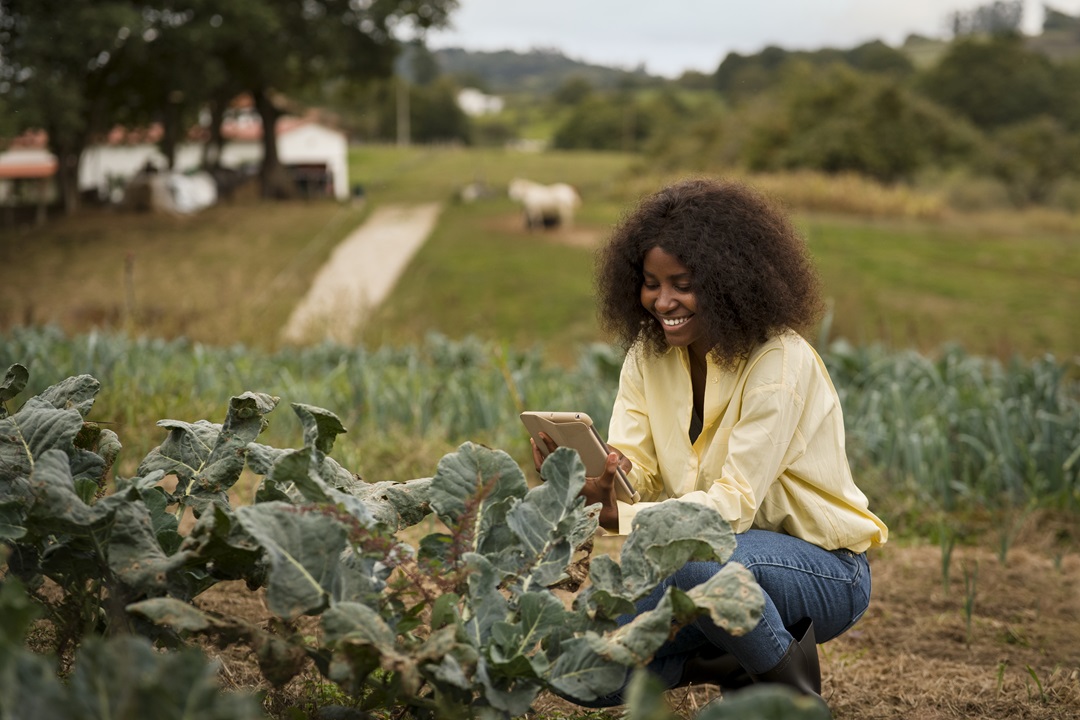 A farmer checking her crops with a tablet