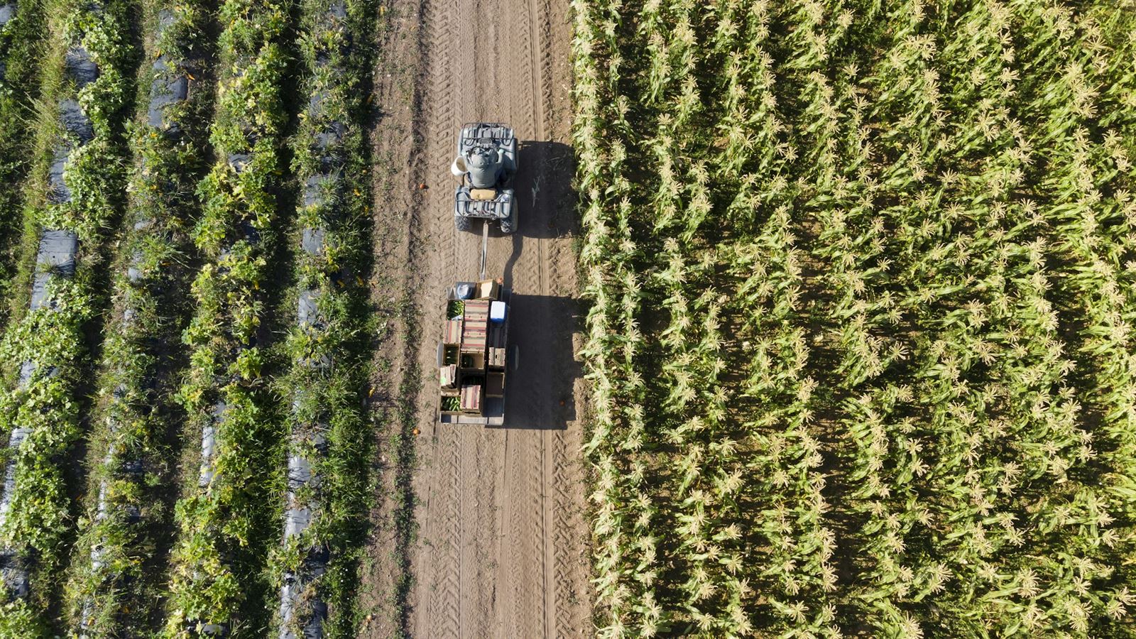 Commodity Aggregation