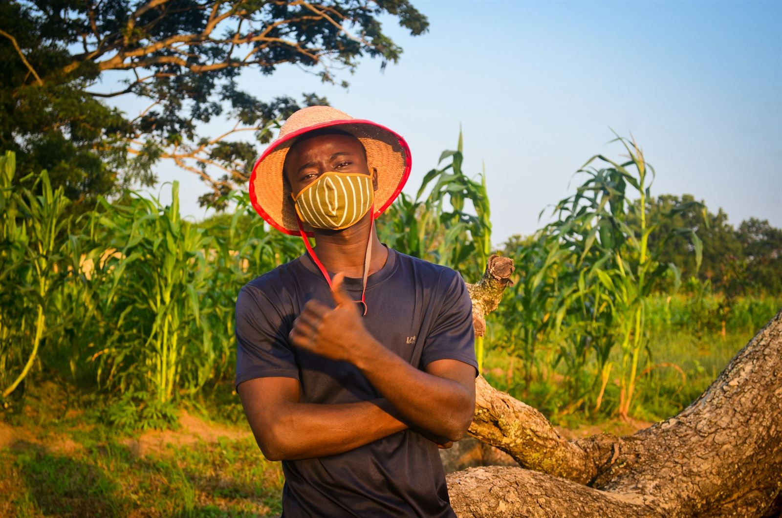 Nigerian farmer standing in his maize field