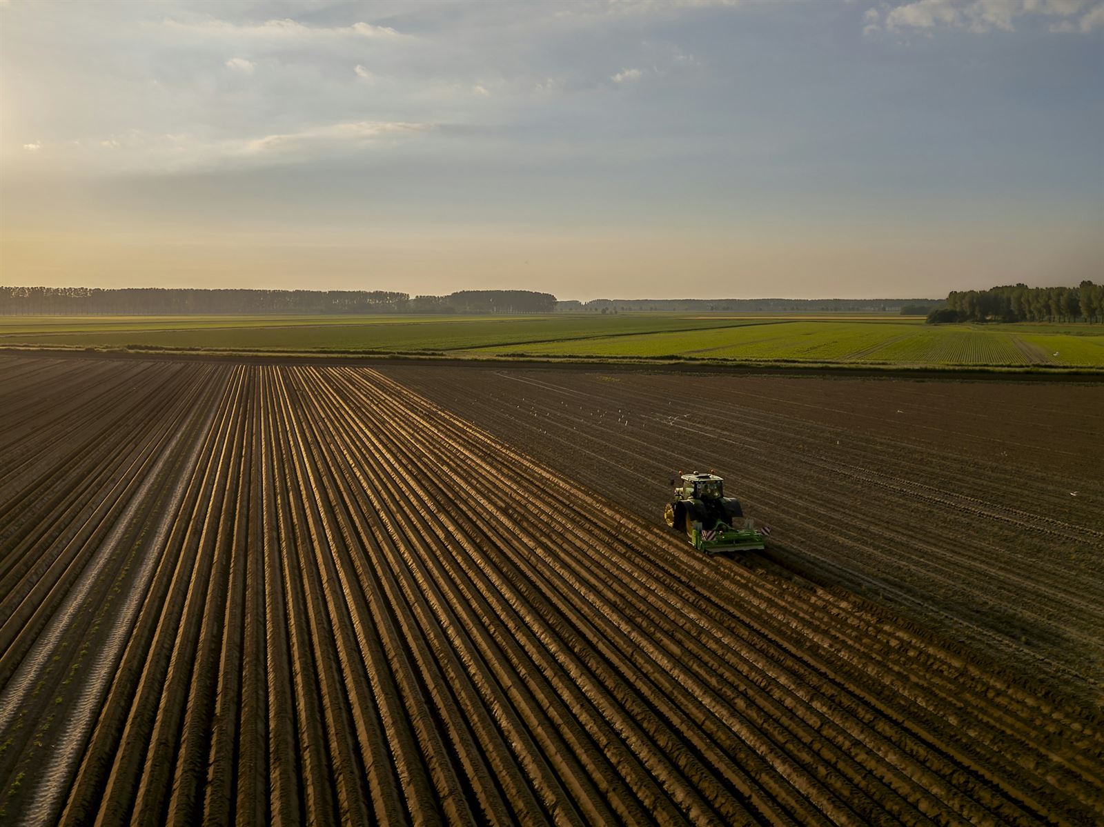 Tractor working a farm field at sunset